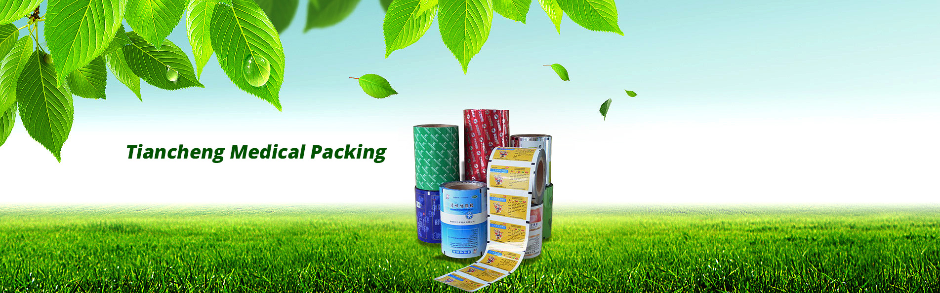 Zhejiang Tiancheng Pharmaceutical Packaging Co., Ltd Zhejiang Tiancheng Pharmaceutical Packaging Co., Ltd